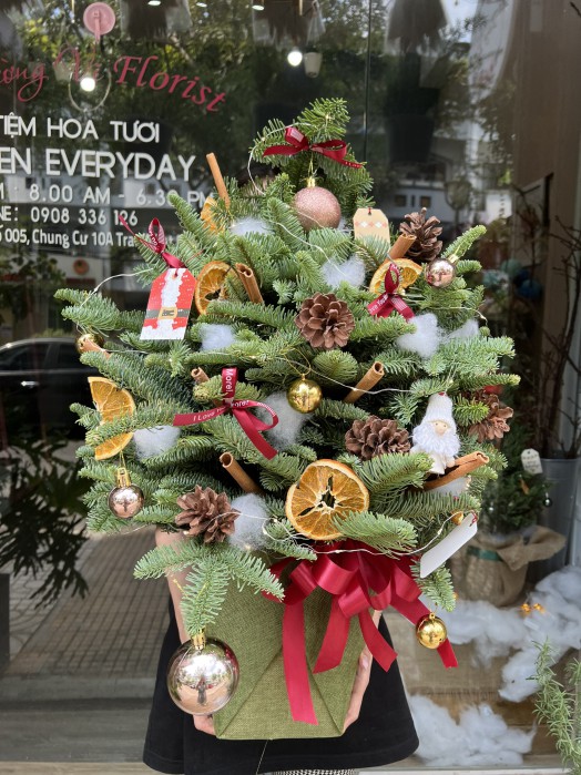 Cành thông tươi nhập khẩu cắm trang trí Noel
