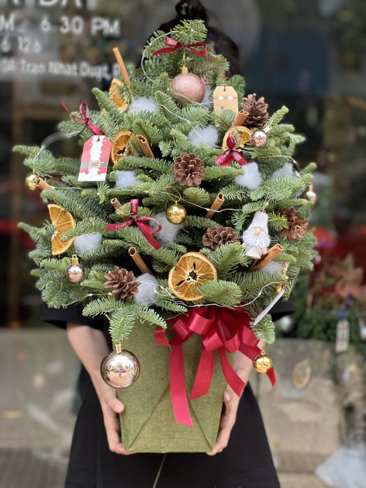 Cành thông tươi nhập khẩu cắm trang trí Noel