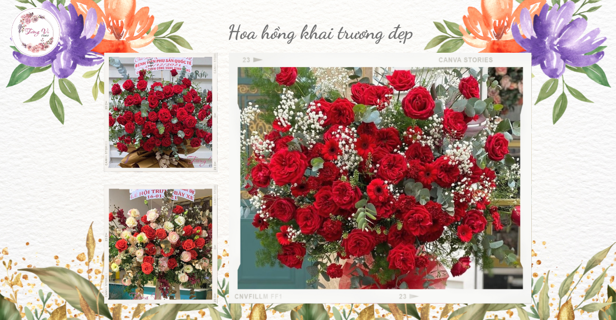 Hoa hồng khai trương đẹp