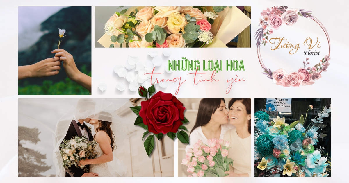 Những loại hoa trong tình yêu